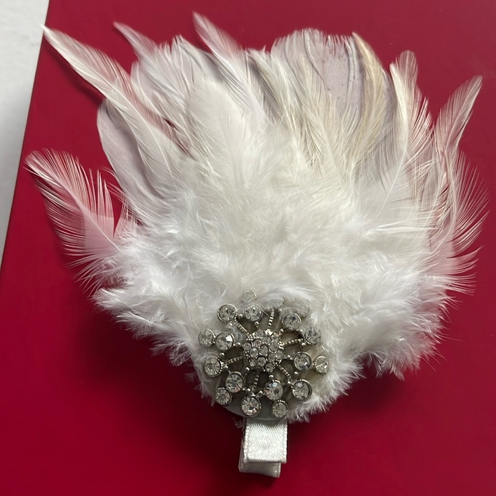 Feather and rhinestone glamorous hair clip